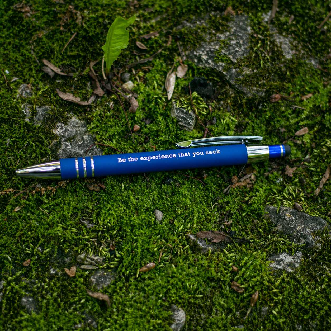 Be the experience that you seek - Blue